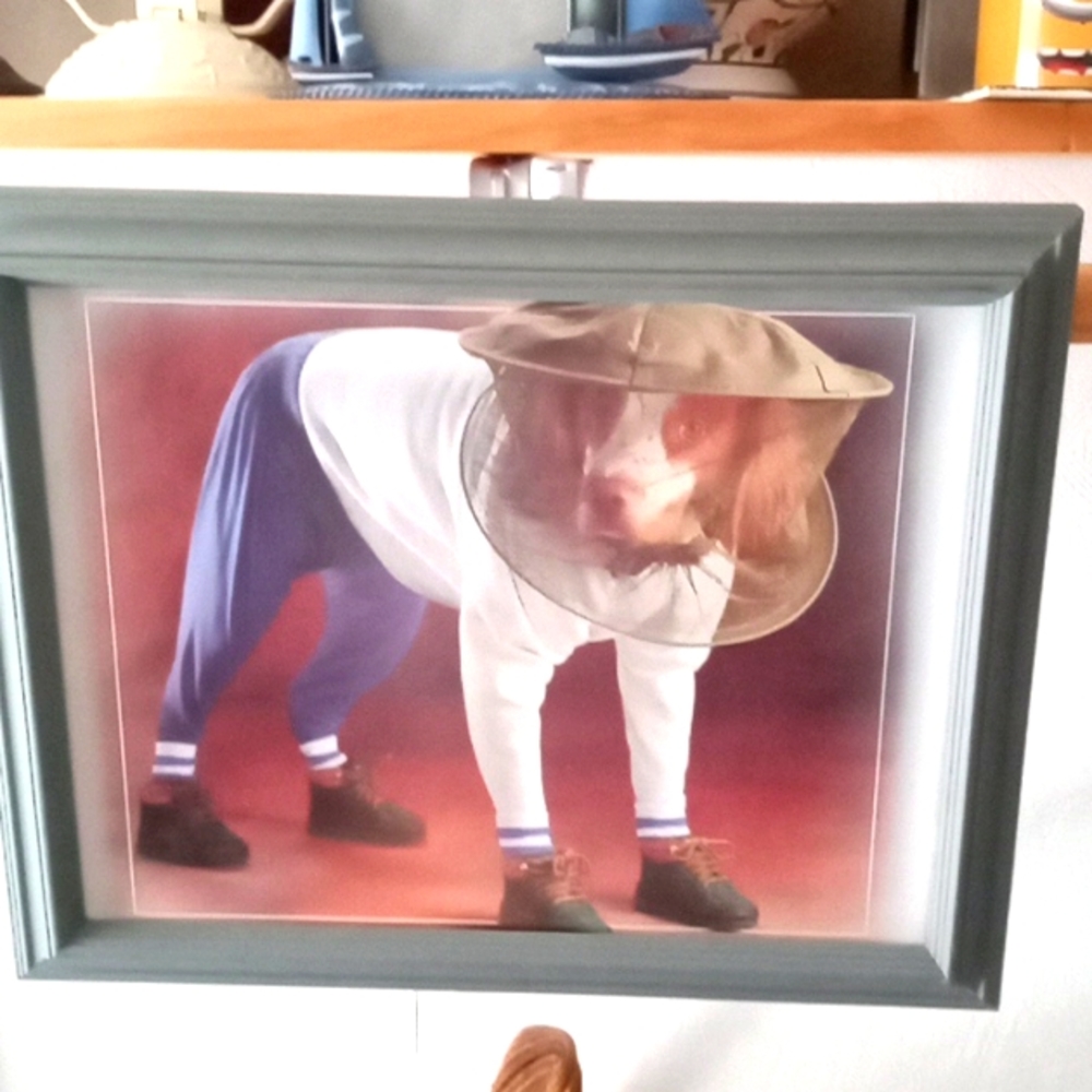 The Bee Keeper's Dog